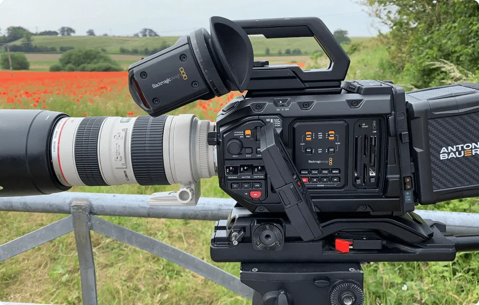 Изображение__2